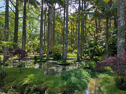 Terra Nostra Botanical Garden