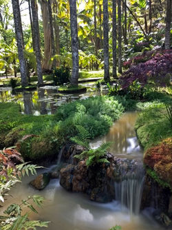 Terra Nostra Botanical Garden