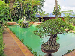 Kauai Hindu Monastery