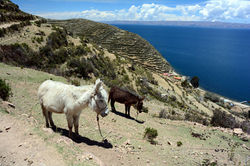 Island of the Sun, Lake Titicaca