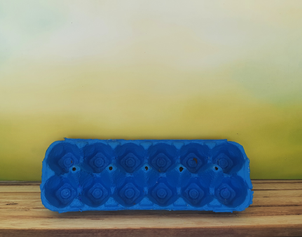 שלבי הכנת משלוח מנות מקרטון ביצים