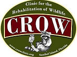 CROW.jpeg