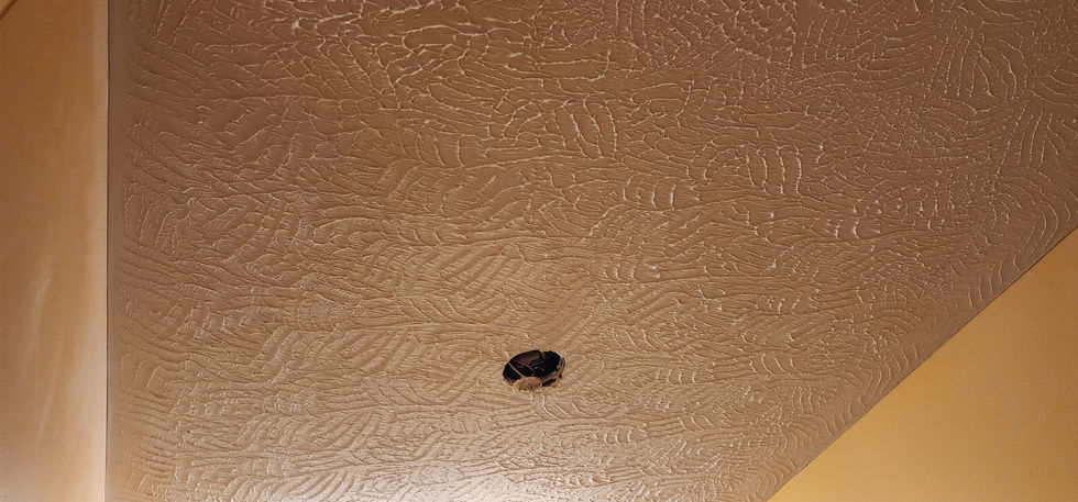 Insurance Claim Insurance Repair Insurance Restoration Water Damage Mold Damage Leak Repair Roof Repair Roof Replacement