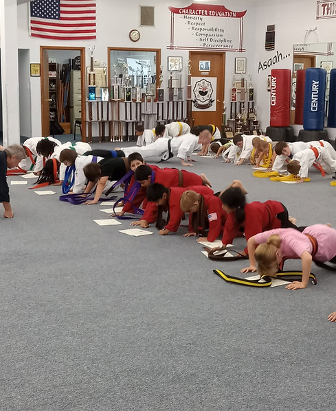 wnykaratekidsgradingpushups.jpg