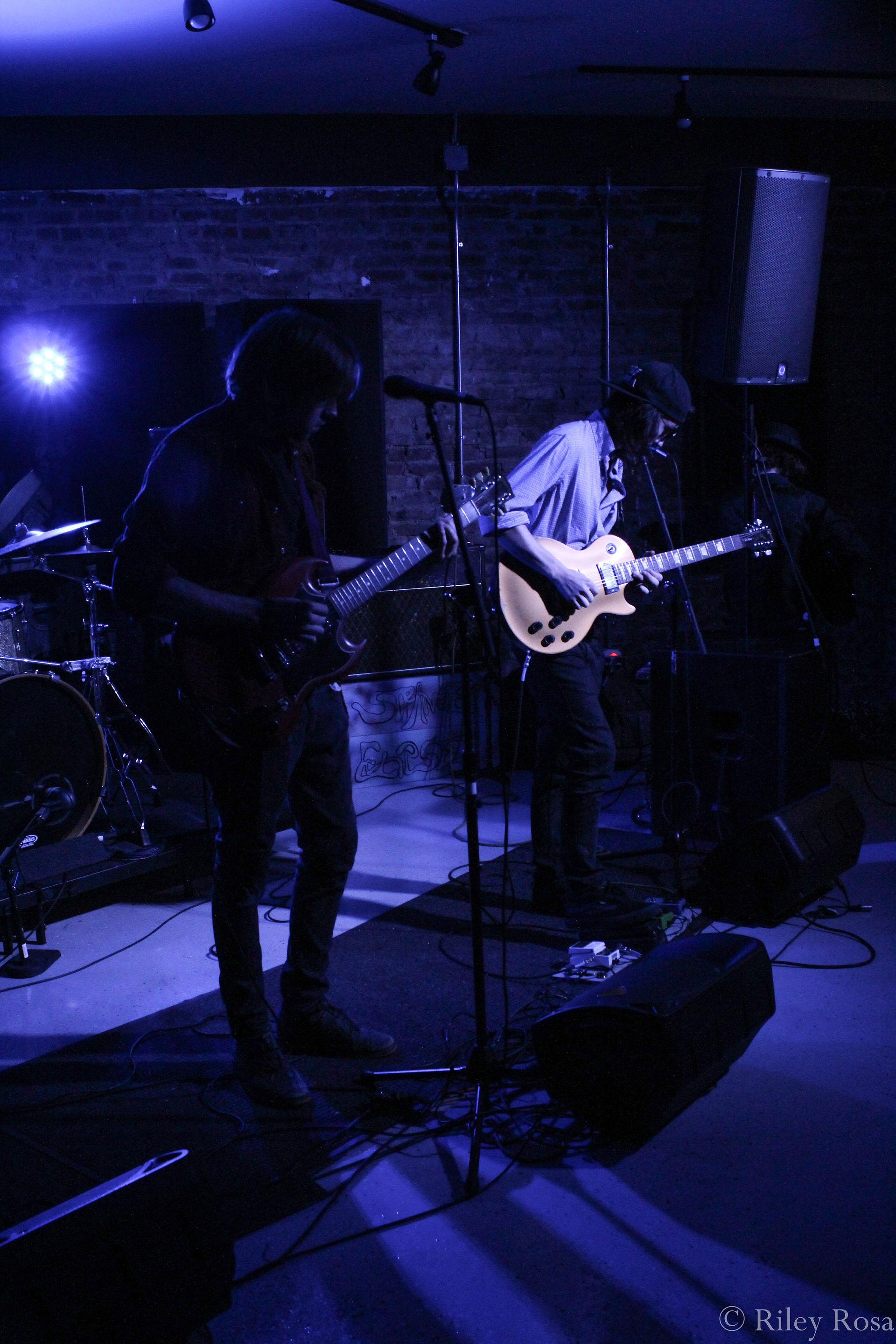 the dead flowers