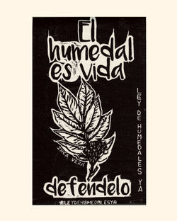 Humedales