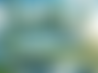 The Future of Automobiles: Implementing a Zero Emissions Policy