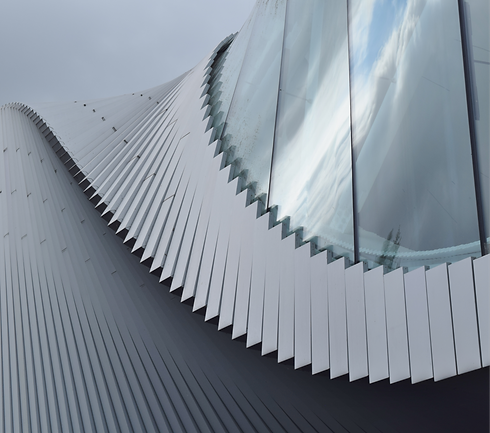 DSC_0516 (2)_edited.png