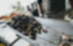 Wheeler's Oysters