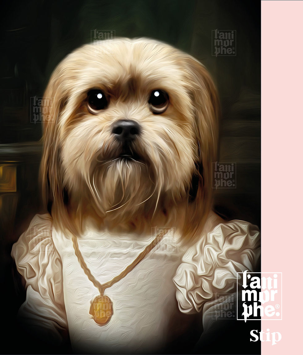 Stip - Whimsical digital dog portrait in museum style, featuring a dog wearing a dress with puffy sl
