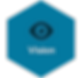 vision-icon.png