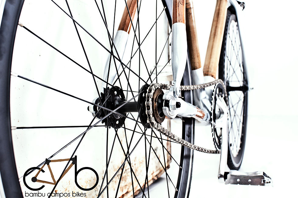 Bambu Campos Bikes