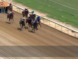 Excellent Impresses on Debut at Colonial Downs