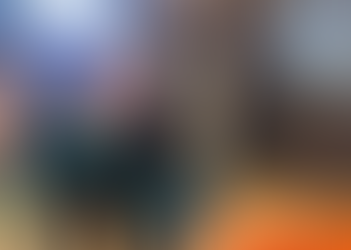 Provocateur’s First Foal Has Arrived