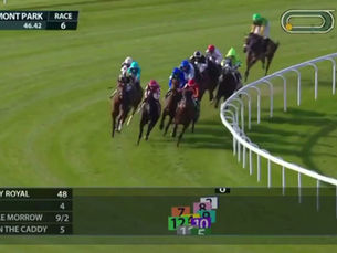 Miracle Morrow Scores Impressive Debut Victory at Belmont
