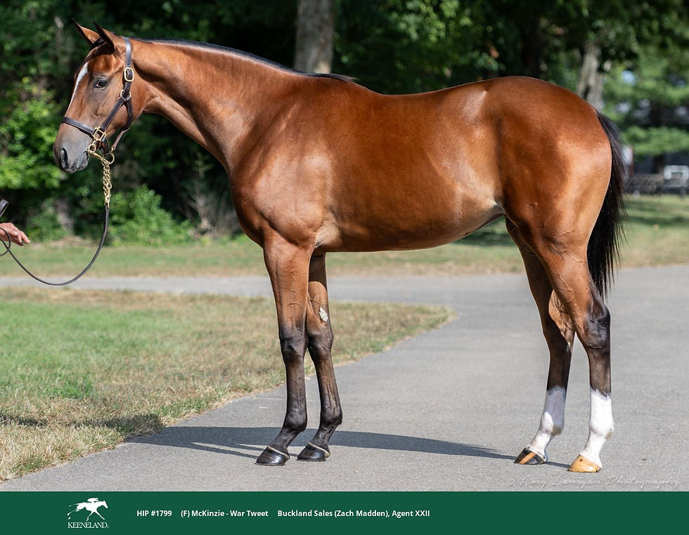 Bourbon Lane Adds McKinzie Filly at Keeneland September