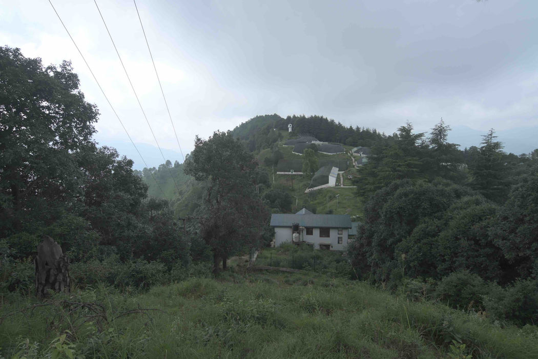 DSC_4542 low res.jpg