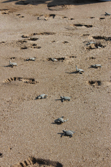 IMG_2518_Low Res.jpg