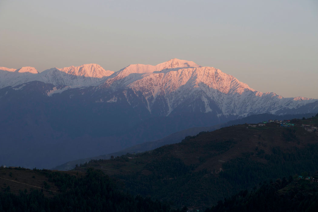 Project Travival 2.jpg