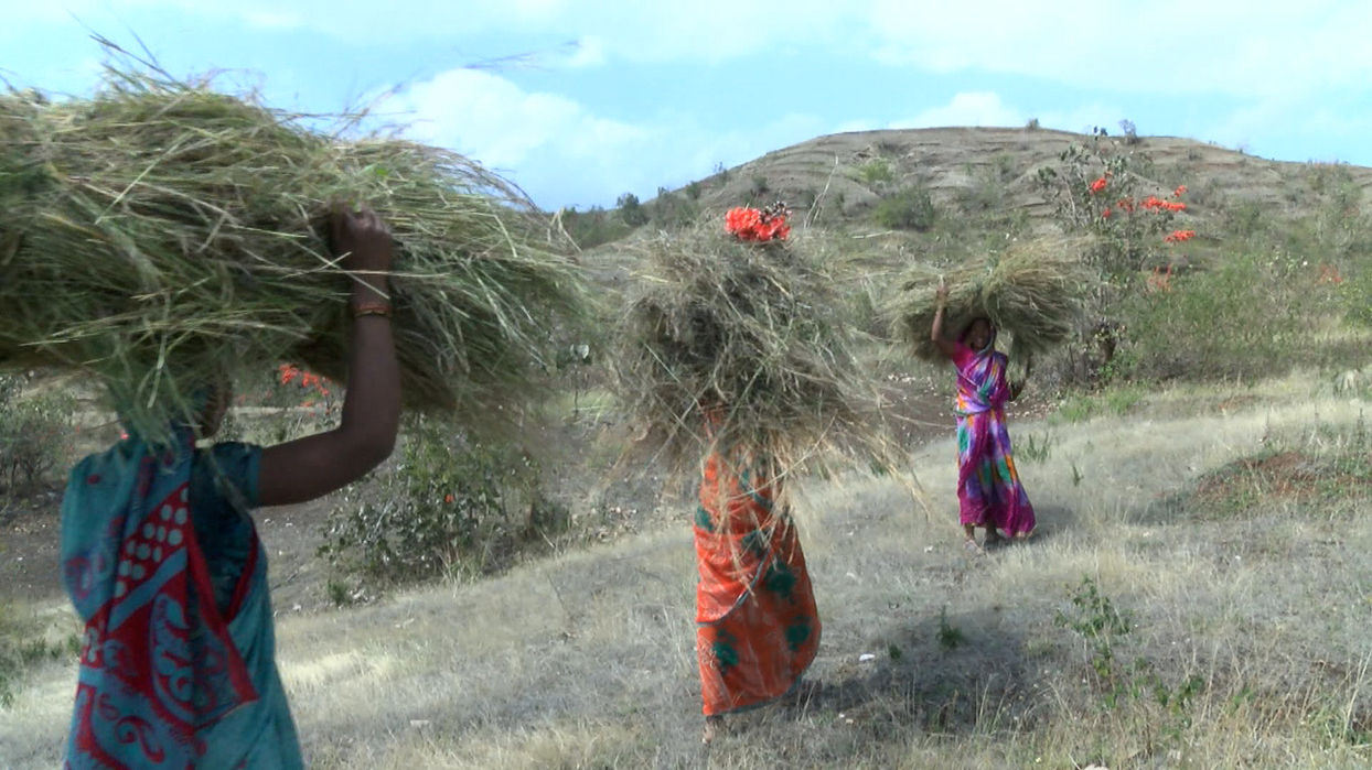 3. Making a Case for Dece.jpg