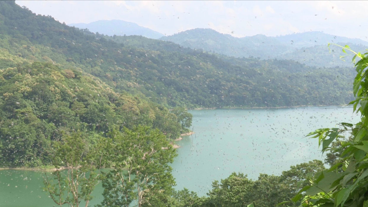 7. Flight of Freedom - The Amur Falcon Story_Low Res.jpg