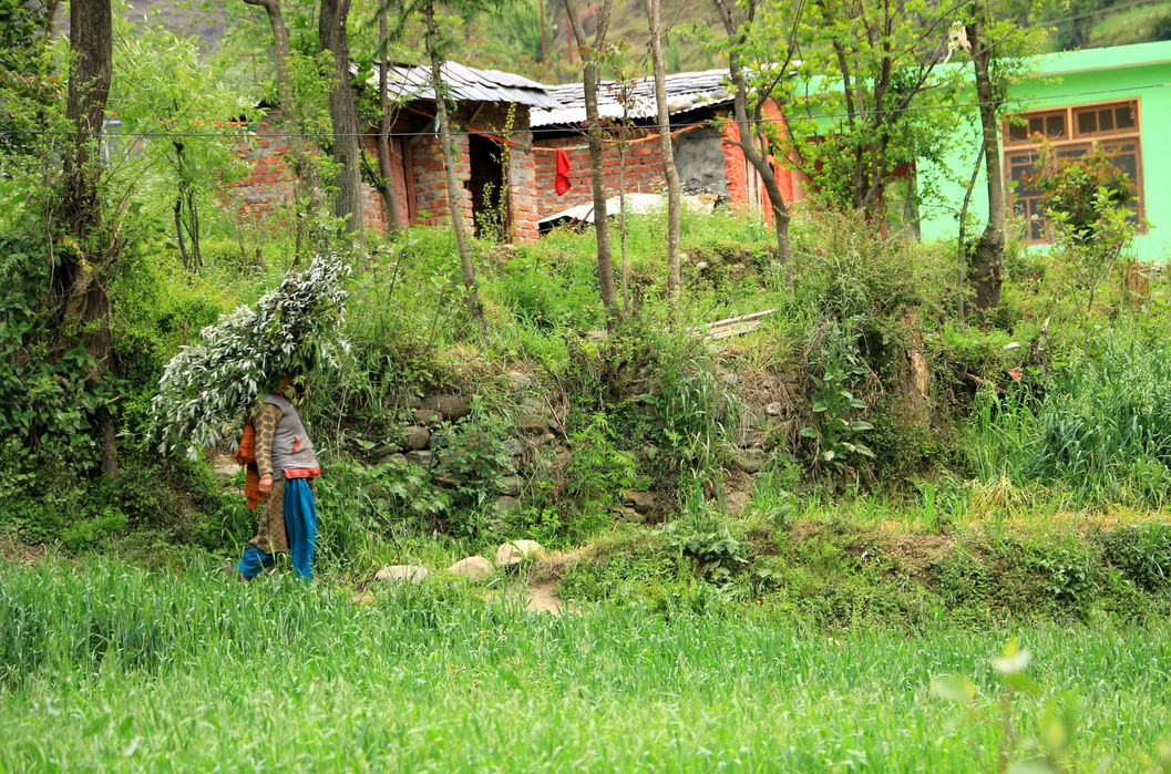 Project Travival - Not On Map 4.jpg