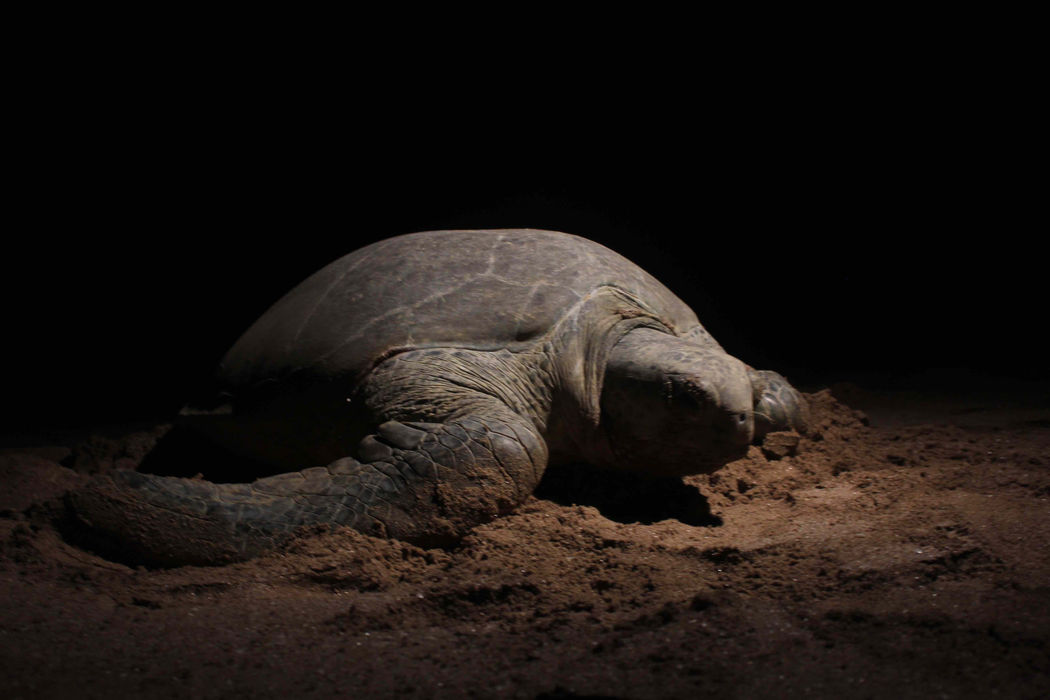 IMG_2647_Low Res.jpg