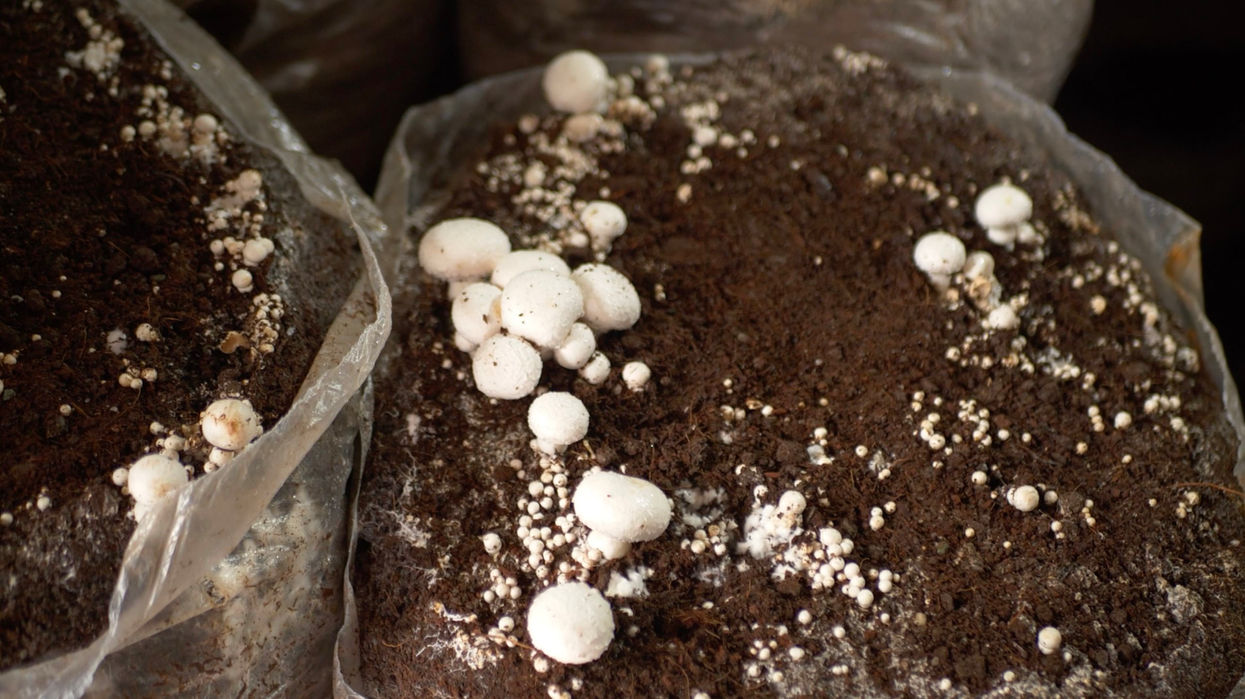 Aspirational Districts Programme 7 Low Res.jpg