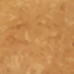Cork (1).webp