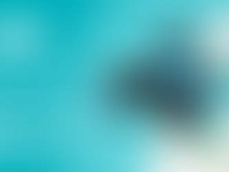 Conferencia sobre a empresa ANDA