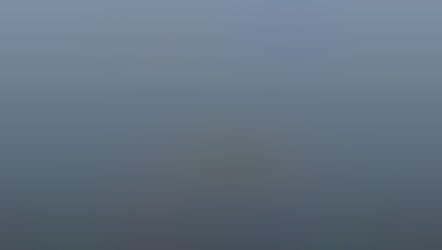 Brain overload on daily basis.