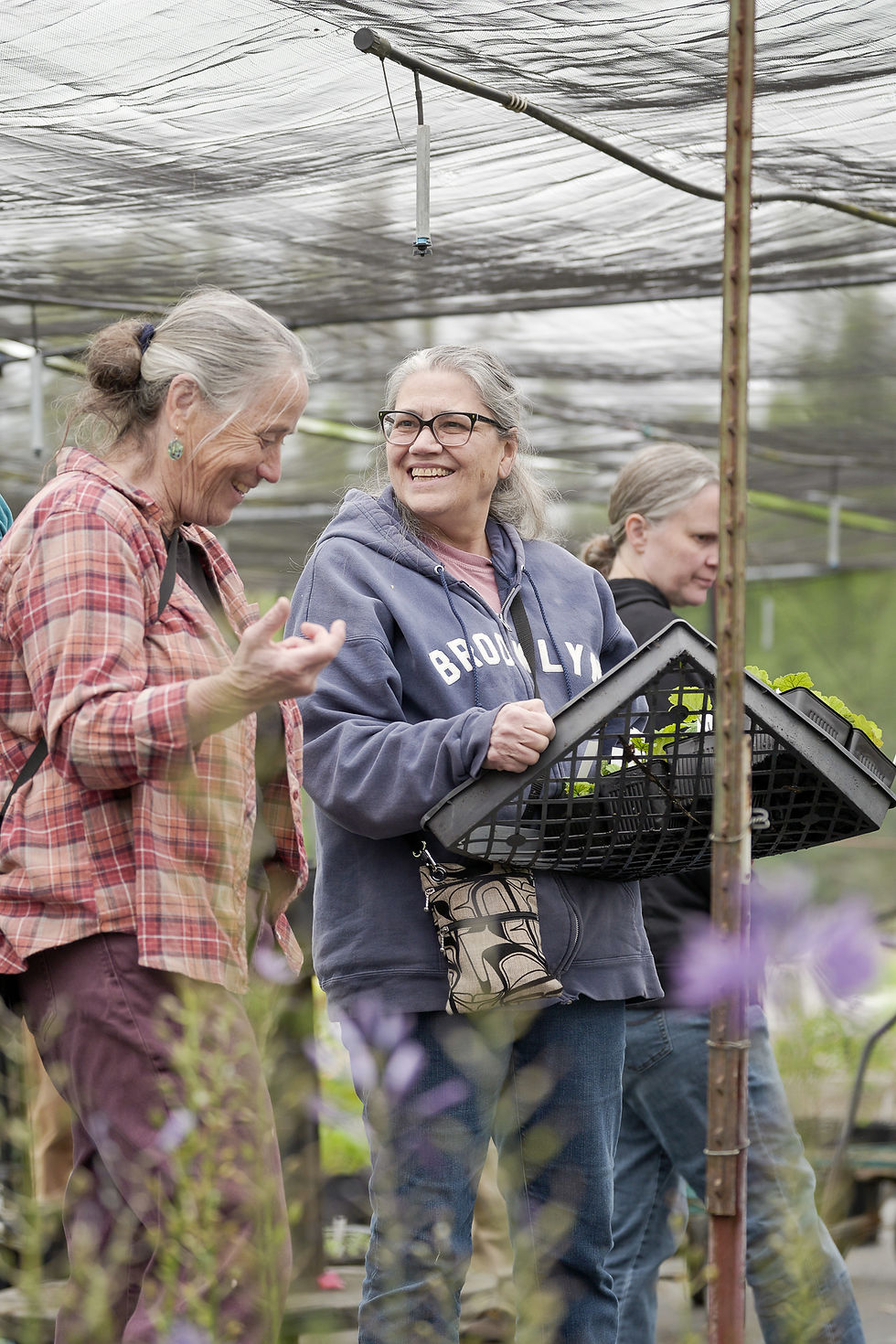 spring-native-plant-nursery-sale-2026-15.jpg