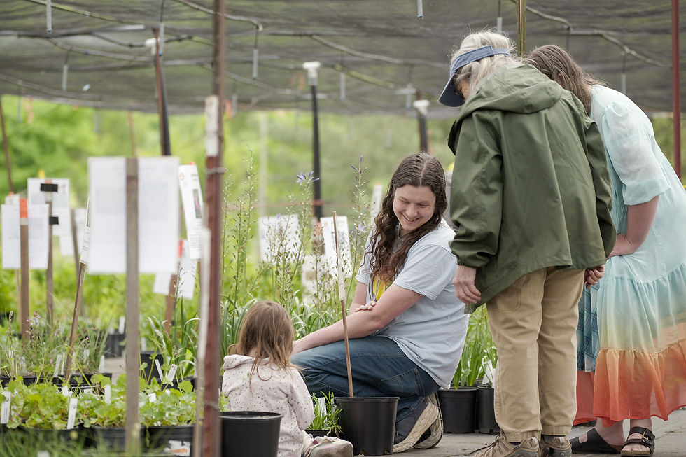 spring-native-plant-nursery-sale-2026-78.jpg