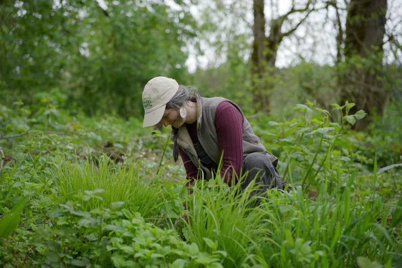 Habitat Restoration Work Party