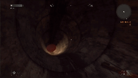 DL_4_ExploringSewersGif.gif