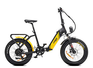 Ducati Scrambler SCR-X.002.jpeg