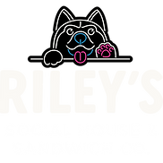 Banner March (3000 × 2000 px) (2000 × 2000 px) (1).png