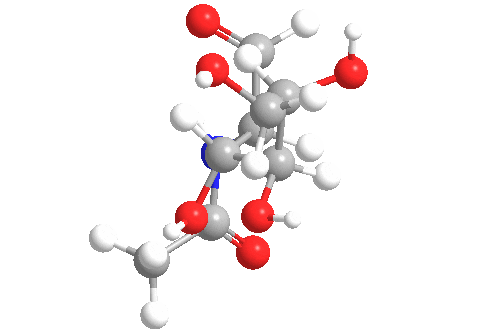N-acetilglucosamina.gif
