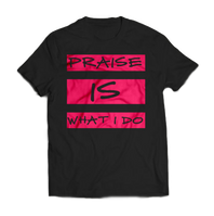 DRC_PRAISE_MOCK-1-600x450_edited.png