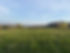 image00001.jpeg
