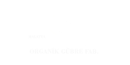 neziroğul