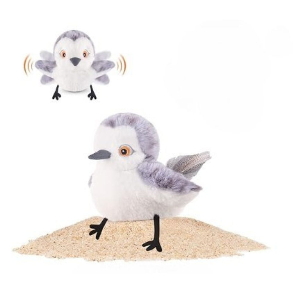 A little gray and white bird that looks like a stuffed animal