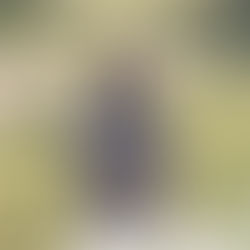 [LiEv] ANOC - Dopamine | 아녹 - 도파민