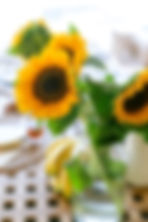 NEW _ Maniero-7_websize(1).jpg