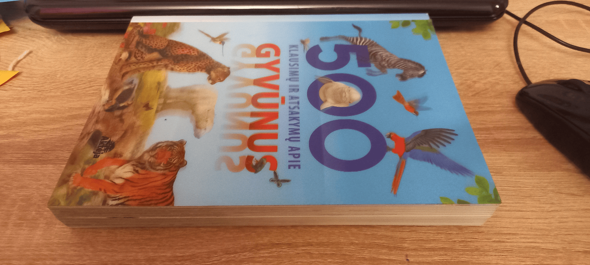 ezgif.com-animated-gif-maker (1) (4).gif