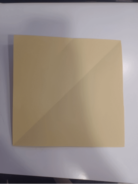 20241113_172807.gif