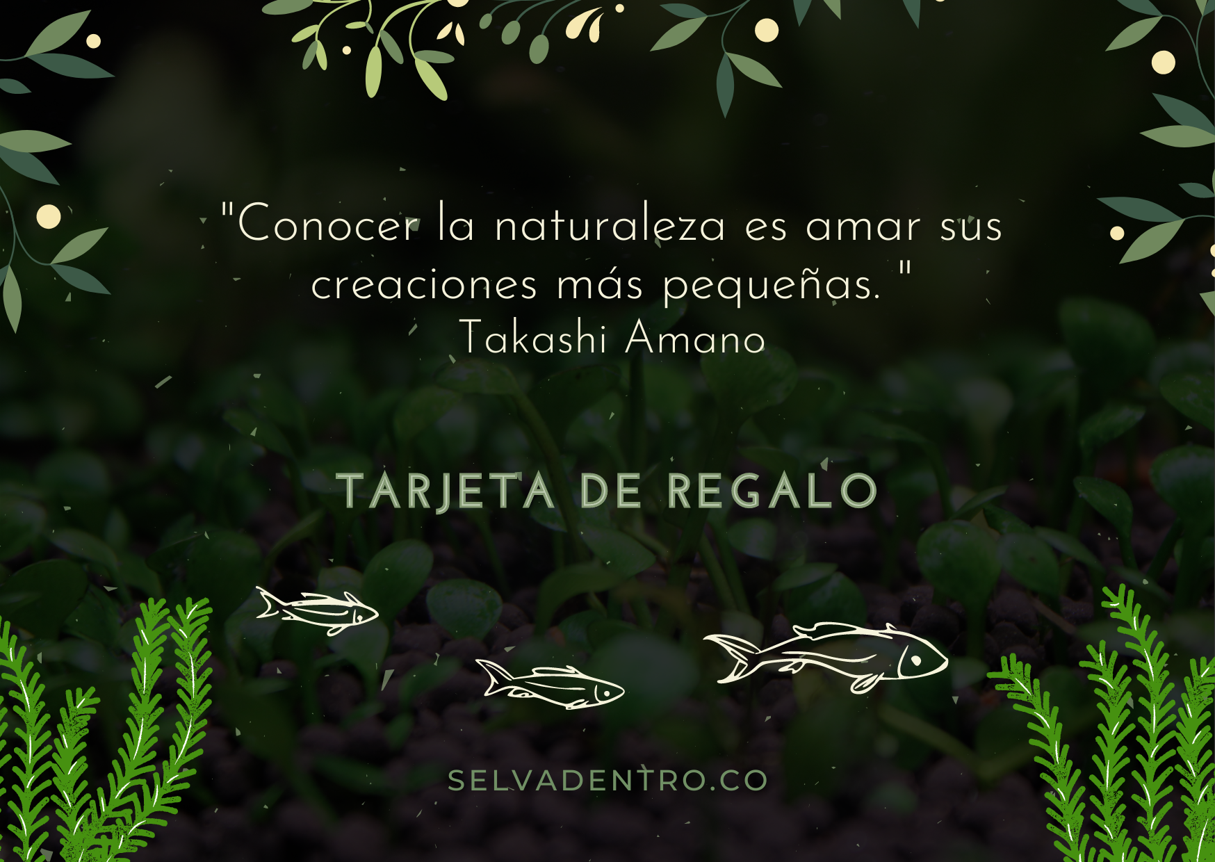 Tarjeta de Regalo_GifCard_Selvadentro