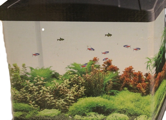 Acuario curvo 13L