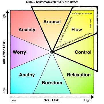 Flow model.jpeg