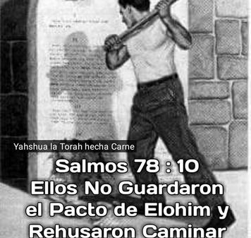 PORQUE DEBEMOS CAMINAR EN LA TORAH DE YAHWEH